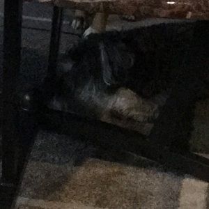 Meet your Posher, Courtney